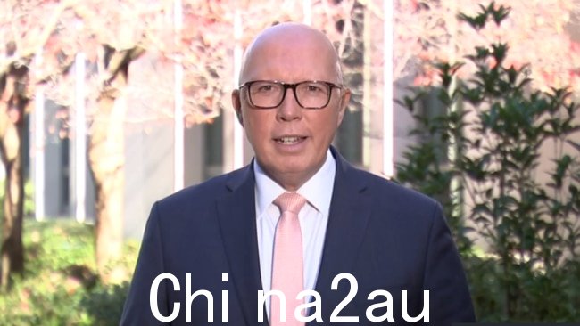 Peter Dutton 的联盟已取得进展阿尔巴尼亚政府在最新的淡水战略民意调查中的表现。图片：澳大利亚天空新闻。