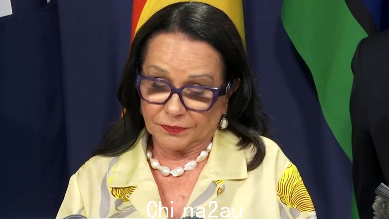 '时间传递接力棒'：琳达·伯尼 (Linda Burney) 就退休公告发表激动人心的演讲