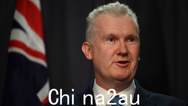 Tony Burke 最近被任命监督内政事务。图片：NCA NewsWire / Martin Ollman