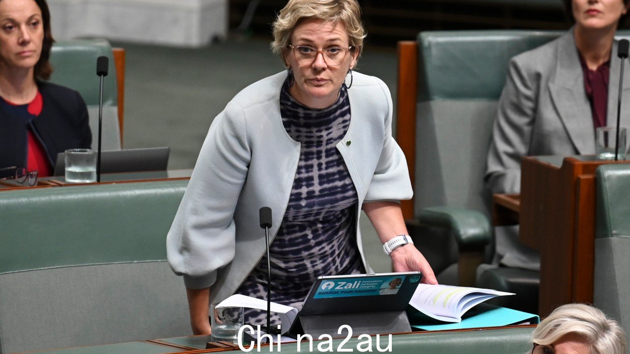 Zali Steggall 在议会发表的慷慨激昂的演讲中要求反对党领袖“停止种族主义”上周图片：NCA NewsWire / Martin Ollman