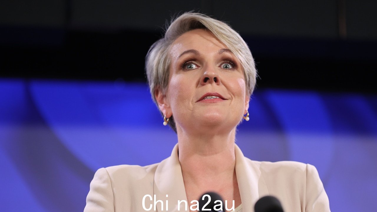 '后果可能是毁灭性的'：Tanya Plibersek 推翻了新南威尔士州拟议的采矿计划