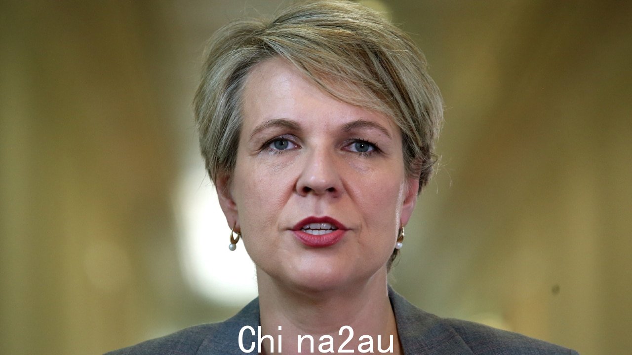 矿工警告Tanya Plibersek 推翻新南威尔士州拟议矿山后的潜在风险