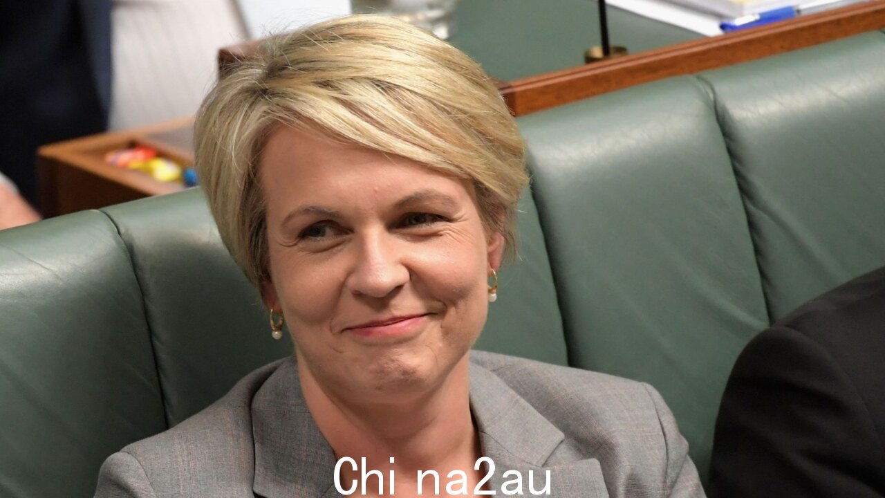 '我们都在关注她'：Tanya Plibersek 否决了金矿以保住她的席位