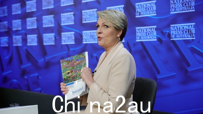 环境部长 Tanya Plibersek 尚未透露她决定禁止背后的文化传统瑞吉斯金矿项目。图片：NCA NewsWire / Gary Ramage