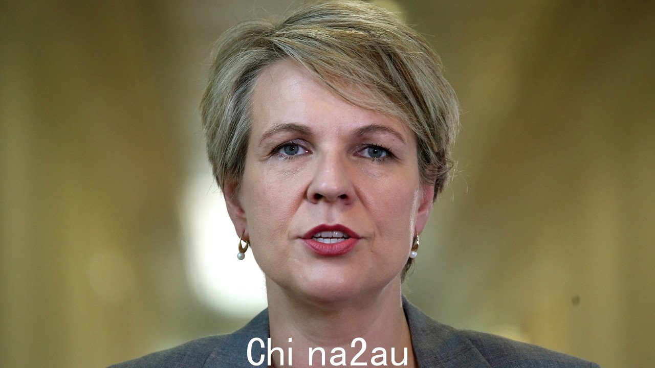 Plibersek 的金矿顾问尝试过将“每一条小溪”注册为原住民遗址” fetchpriority=