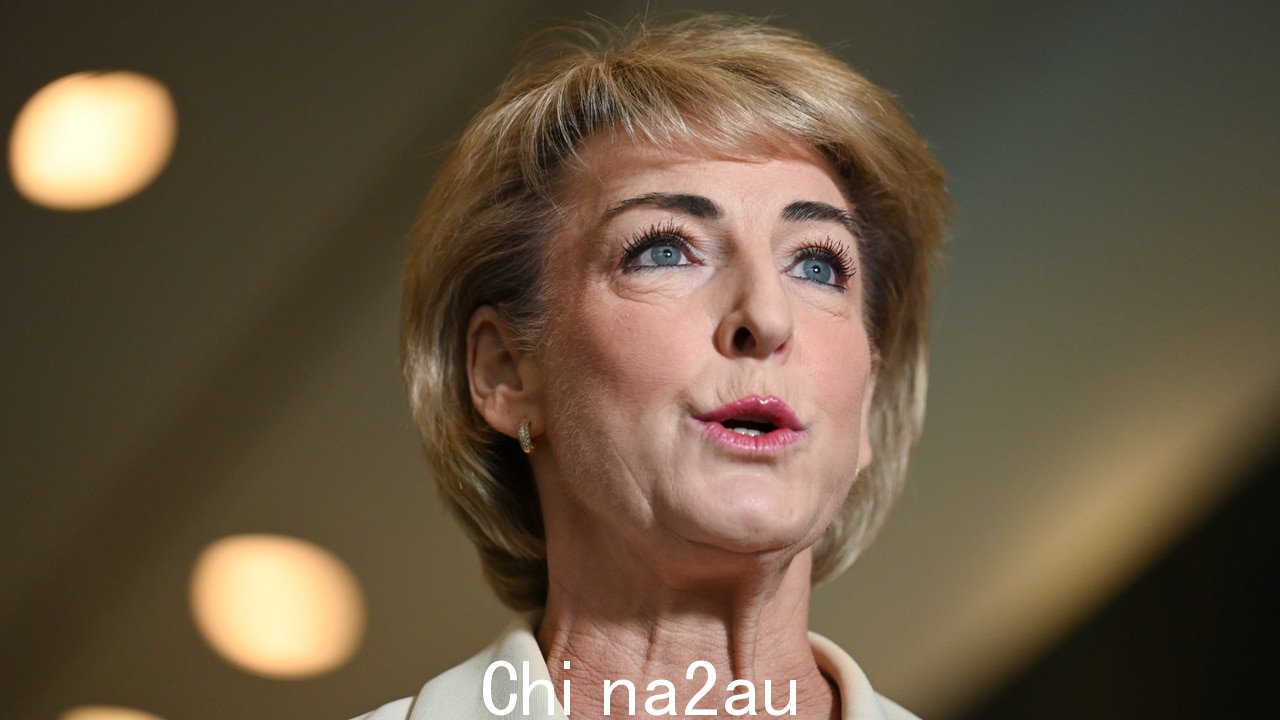 Michaelia Cash 呼吁约翰Setka 将被禁止进入建筑工地