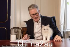 凯尔·斯塔默（Keir Starmer）展示了新的唐宁街猫，名为“王子”（Prince）：西伯利亚小猫是与首相的孩子们“达成协议”的一部分，将搬进10号