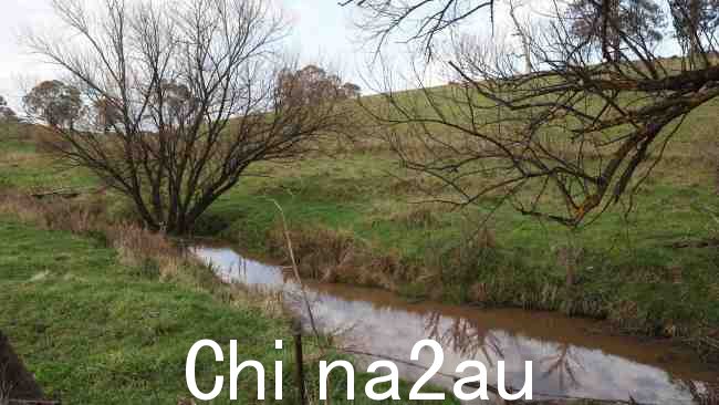 Wiradyuri 传统所有者 Central West Aboriginal Corporation 所说的“神圣歌曲”流经 Belubula 河的地方。图片：Rohan Kelly/澳大利亚新闻集团