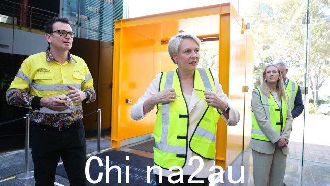 环境部长 Tanya Plibersek 批准了 3 个煤矿扩建项目周一，新南威尔士州。  图片：NewsWire / Gaye Gerard