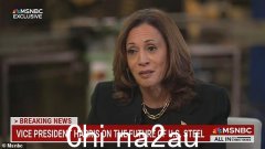 卡玛拉·哈里斯 (Kamala Harris) 在 MSNBC 上的最新词汇沙拉让人们怀疑她是否发现了一个新的流行词