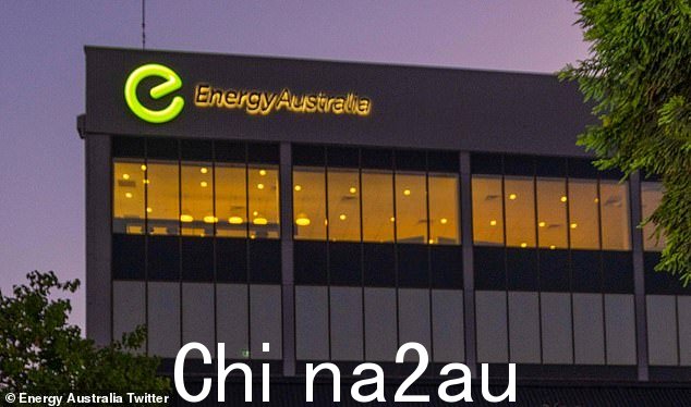 EnergyAustralia 因向数十万澳大利亚人做出虚假、误导或欺骗性陈述而被罚款 1400 万美元