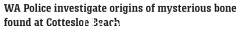 澳洲著名海滩发现疑似人骨！网友意见不一，警方介入调查（图）