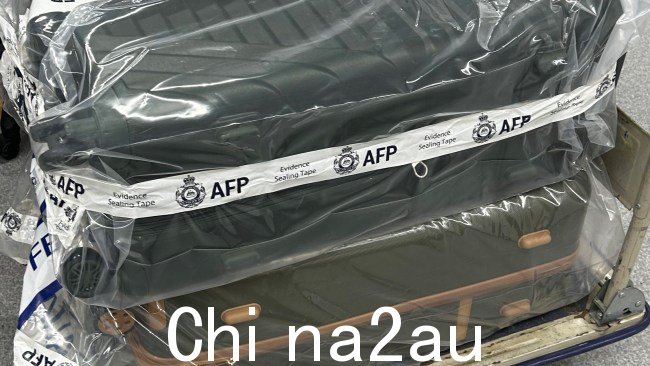 一名23岁美国公民涉嫌分两次进口21公斤可卡因和21公斤冰毒图片：AFP/ABF