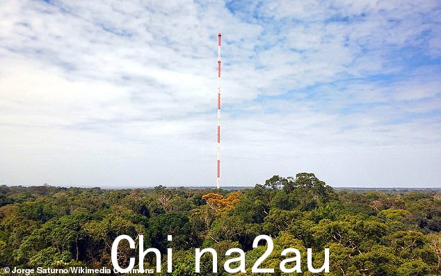 科学家报告称，首次在亚马逊雨林大气中发现了持续时间如此之长、被称为“永久化学物质”的有害化学物质