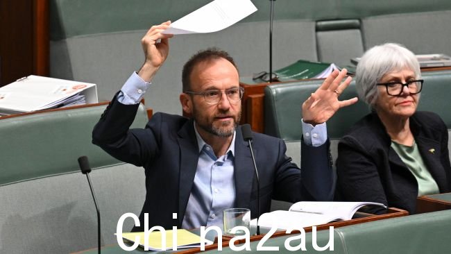 绿党领袖 Adam Bandt 在 10 月 7 日哈马斯袭击周年纪念日发表党内声明，谴责以色列。图片：NCA NewsWire / Martin Ollman