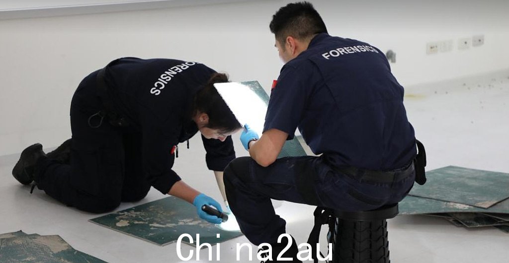 悉尼一女子发现丈夫有情妇后，盛怒之下将丈夫砍死！尸体部位到处都被扔进垃圾桶（照片） - 5