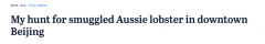 禁令期间，为何澳大利亚龙虾出现在北京海鲜餐厅？ ！知情人揭秘内幕（图）