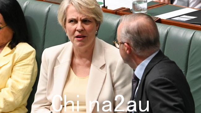 The联盟党再次对环境部长塔尼娅·普利伯塞克(Tanya Plibersek)大加指责，因为她在阻止价值10亿美元的金矿的推理中自相矛盾。图片：NCA NewsWire / Martin Ollman