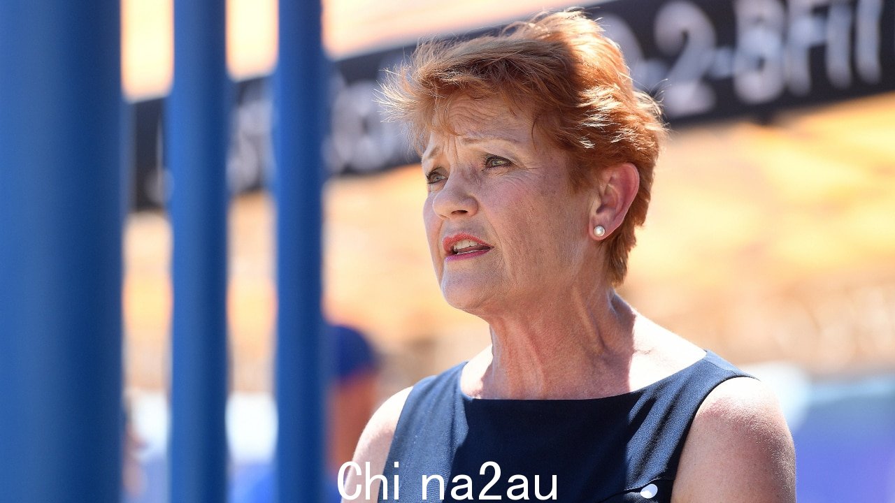 Pauline Hanson 喊出安东尼阿尔巴尼斯对移民增加的担忧” fetchpriority=