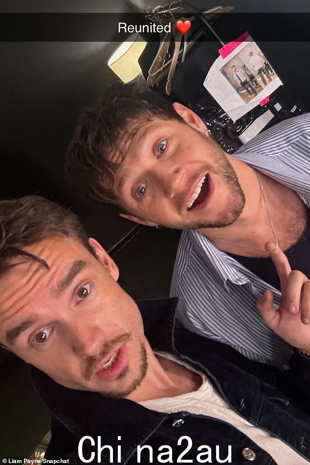 他在 Snapchat 故事上添加了与 Niall 的一张快照标题：“重聚”。