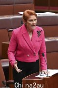 宝琳·汉森 (Pauline Hanson) 猛烈抨击“有组织的盗窃”