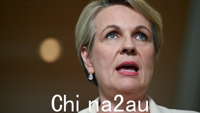 Tanya Plibersek 为她封锁新南威尔士州布莱尼镇附近一座价值十亿美元金矿的决定进行了辩护，尽管一个关键理由被揭穿了。图片：NCA NewsWire / Martin Ollman