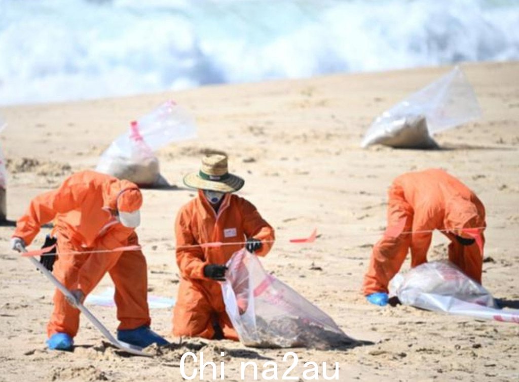 数千个神秘“黑球”被发现！悉尼多处海滩现已重新开放，但背后原因仍是一个谜（照片） - 2