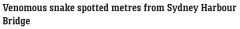 悉尼CBD发现毒蛇！人来人往，视频在抖音上疯传。网友称这是观光（图）