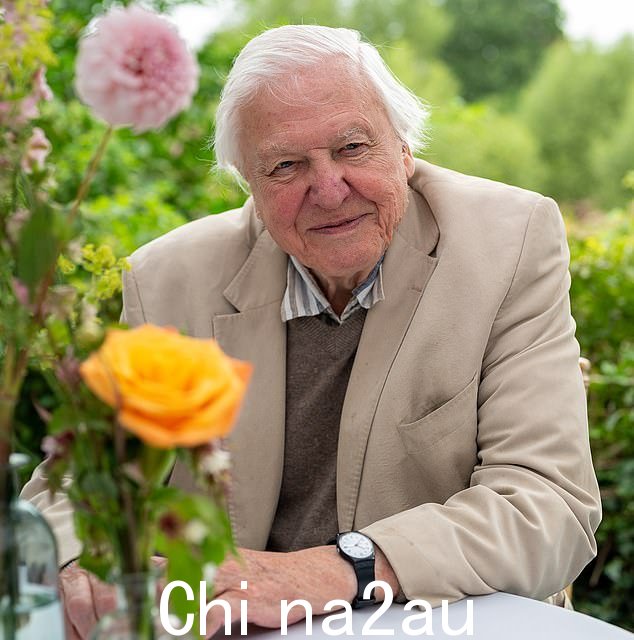 大卫·阿滕伯勒 (David Attenborough)，98 岁，周日，在他的新节目《亚洲》中，粉丝们注意到广播公司独特的声音发生了变化，这让粉丝们感到困惑