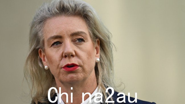 国民参议员布里奇特·麦肯齐 (Bridget McKenzie) 因失败而被捕在最初表示没有收到任何航班升级后，又宣布了航班升级。图片：澳大利亚新闻集团