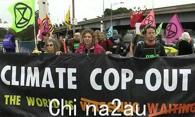 该组织举着的横幅似乎是指本周在阿塞拜疆举行的 COP29 气候峰会（如图）