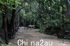 《我是名人》的老板们担心，在丛林遭受“悲惨”的四天大雨袭击后，营员们可能会走路，持续的倾盆大雨对周围的道路造成严重破坏