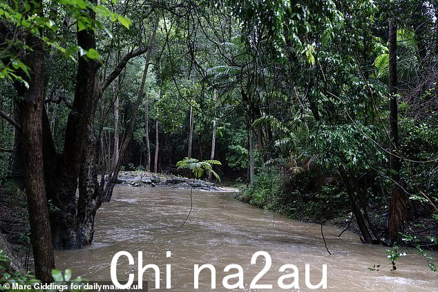 连续倾盆大雨淹没了《我是名人》丛林，露营不到一周的参赛者的安全受到威胁