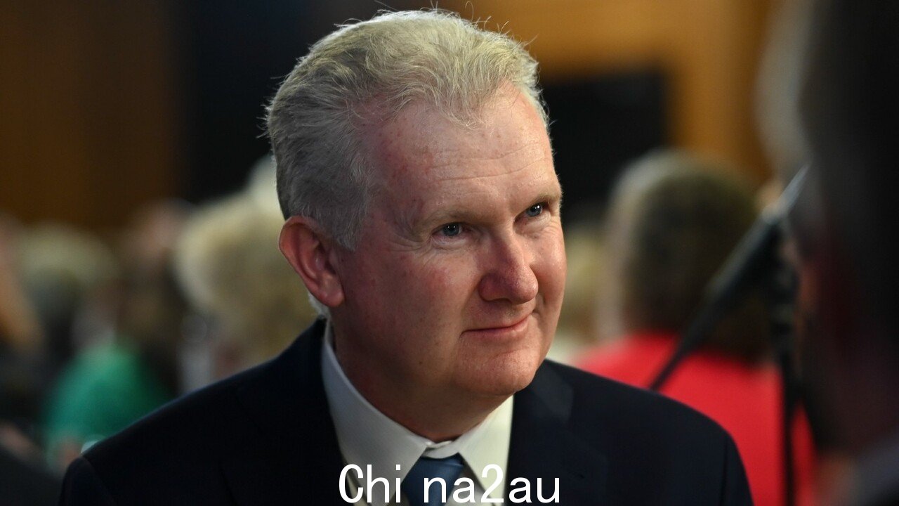 '无'船到达曾在澳大利亚停留过：Tony Burke